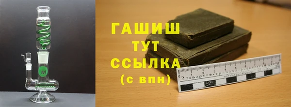 шишки Слюдянка