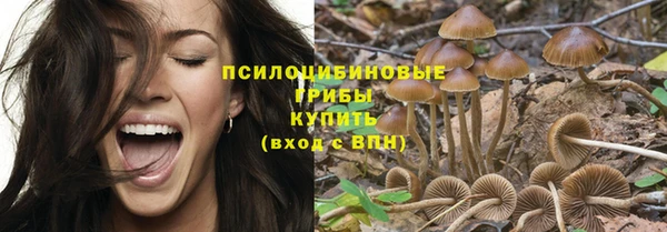 MDMA Premium VHQ Бородино