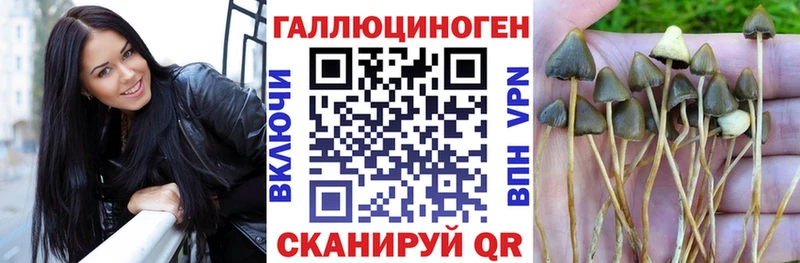 Галлюциногенные грибы Psilocybe  Карпинск 