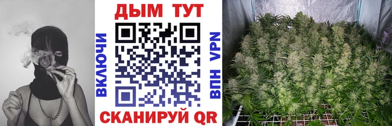 где найти наркотики  Карпинск  Бошки марихуана семена 